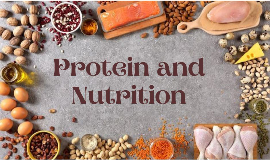 Protein and Nutrition