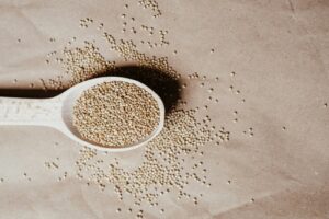 7 High Protein Seeds